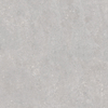 Terravito Ostino - 60x60cm - 20mm - rectifié - Gris SW1175509