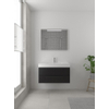 Bruynzeel Bando badmeubelset 90x45cm 1 kraangat 1 wasbak 2 lades met spiegel met softclose Composiet zijde zwart SW383388 Bruynzeel Bando badmeubelset 90x45cm 1 kraangat 1 wasbak 2 lades met spiegel met softclose Composiet zijde zwart SW383388