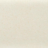 ÉCHANTILLON Terravito Lavena carreau mural et de sol - 60x60cm - 10mm - Carré - rectifié - Beige mat SW736151