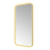 Hotbath &MORE Spiegel - 50x100cm - direct en indirect LED - spiegelverwarming - color changing - dimbaar - met afstandsbediening - PVD - geborsteld messing goud SW1246085