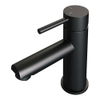Brauer BlackEdition Wastafelmengkraan opbouw - laag - model a - mat zwart SW238153