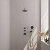 Brauer Gunmetal Carving Colonne de douche thermostatique avec pommeau 20cm et bras mural courbé 40cm et douchette Rond 3 jet flexible lisse avec coude mural Gunmetal brossé PVD SW715994