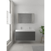 Bruynzeel Box badmeubelset 120x45cm 2 kraangaten 1 wasbak 2 lades met spiegelkast met softclose composite grafiet SW383972 Bruynzeel Box badmeubelset 120x45cm 2 kraangaten 1 wasbak 2 lades met spiegelkast met softclose composite grafiet SW383972