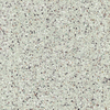 ÉCHANTILLON Terravito Damico Carrelage de sol et murale - 120x120cm - rectifié - mat Beige SW1130922