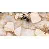 Ceralto Alvera Vein Marble Look Vloertegel - 60x120cm - 6.0mm - gerectificeerd - patagonia (Multi) SW1574211