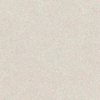 Ceralto Aurelio Marble Carreau de sol - 120x120cm - 9.5mm - rectifié - Blanc SW1440607
