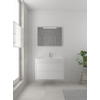 Bruynzeel Box badmeubelset 90x45cm 1 kraangat 1 wasbak 2 lades met spiegel met softclose composite mat wit SW383921 Bruynzeel Box badmeubelset 90x45cm 1 kraangat 1 wasbak 2 lades met spiegel met softclose composite mat wit SW383921
