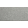 Ceralto Gavira Plank Wandtegel - 29.5x59.5cm - 9.7mm - gerectificeerd - Grey SW1212372