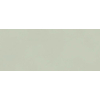 Ceralto Fragmenta Mosaic Wandtegel - 50x120cm - 8.5mm - gerectificeerd - Mint SW1174941