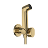 Hansgrohe Bidette bidet handdouche - 1jet s ecosmart v. koud waterm. Porter douchehouder en doucheslang 125cm - polished gold optic SW1172918