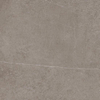 SAMPLE Ceralto Olivaro Sete Vloertegel - 60X60 - 10mm - mat - grijs SW1591641