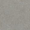 ÉCHANTILLON Terravito Elvano Carrelage parquet céramique mural et de sol - 60x60cm - 9mm - Greige SW1579535
