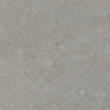 ÉCHANTILLON Terravito Elvano Carrelage parquet céramique mural et de sol - 90x90cm - rectifié - Greige SW1579540