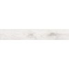 ÉCHANTILLON Terravito Novaro White 20x120 rett SW1221622