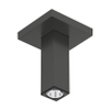 Hansgrohe Raindance alive Plafondaansluiting E - 100mm - geborsteld zwart chroom (antraciet) SW1387931