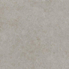 Ceralto Gravito Raw Carrelage de sol - 120x120cm - 9.0mm - rectifié - gris SW1245125