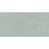 ÉCHANTILLON Terravito Evarno carreau mural - 25x50cm - Sage mat (vert) SW1131101