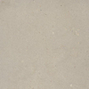 Ceralto Elaris Oak Vloertegel - 60x60cm - 9.0mm - gerectificeerd - Sabbia grigio SW1243258