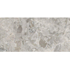 Ceralto Elaris Oak Vloertegel - 75X149.7 - 9mm - mat - ash SW1591313