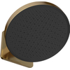 Hotbath Mate Hoofddouche - 30cm - opbouw - rond - rond - PVD - geborsteld messing (goud) SW1245515
