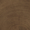 SAMPLE vtwonen Tegels Woodcirkle Vloertegel - 10x10cm - 9.5mm - Wenge SW1557778