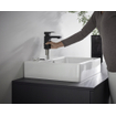 Hansgrohe Vernis wastafelkraan 110 met waste mat zwart SW651687