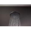 Hansgrohe Vernis hoofddouche 20cm ecosmart mat zwart SW651575