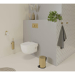 Fortifura Calvi toiletborstelhouder - gesloten model - wand - rond - geborsteld messing (goud) SW1111543