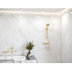 Hansgrohe Raindance select s douchette 120 - 3jet - polished gold optic SW528748