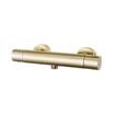 Fortifura Calvi Ensemble de douche barre curseur avec douchette stick, flexible en métal et robinet de douche Laiton brossé PVD SW811926