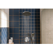 Hansgrohe Vernis Blend douche-arm 24 cm chroom SW651671
