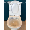 GO by Van Marcke Tina PACK staand toilet zonder spoelrand met reservoir met Geberit spoelmechanisme met dunne softclose en takeoff zitting wit SHOWROOMMODEL SHOW26082