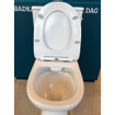 Nemo Go Tina PACK staand toilet zonder spoelrand met reservoir met Geberit spoelmechanisme met dunne softclose en takeoff zitting wit SW288421