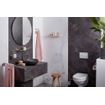 Haceka Allure Porte-rouleau de papier toilette - avec couvercle - inox brossé SW654081