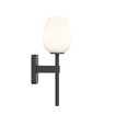 Astro Tacoma Single Applique/Plafonnier - 230V - IP44 - ovale - verre blanc - noir mat SW1566430