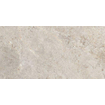 Ceralto Palazzo Vein Vloertegel - 120x60cm - 9.5mm - gerectificeerd - Evercream SW1242763