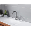 Fortifura Calvi Mitigeur lavabo rehaussé avec bec rotatif Gunmetal PVD SW809350