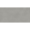 Ceralto Lazaro Vloertegel - 59.5x119.5cm - 9.0mm - gerectificeerd - Grey SW1171161