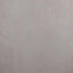 SAMPLE Ceralto Elvano Accent Vloertegel 600X600 Titan 9.5mm Mat Ret.R10 SW912014