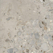 Ceralto Elaris Oak Carreau de sol - 60x60cm - 9.0mm - rectifié - Sassi grigio p SW1242842
