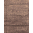 Terravito Copuro Dalle de terrasse Rust 60x60x2cm Rectifié Aspect béton Mat Rouille SW420246