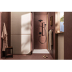 Hansgrohe Raindance alive douchearm - 39cm - mat zwart SW917948