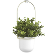 Umbra Triflora suspension pour plantes 64x110x15cm pour 3 plantes polyester blanc/or SW539581
