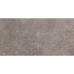 Beste koop Phorma carreau de sol 30x60cm 8.8mm rectifié musc mat SW444671