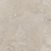 SAMPLE Pamesa Portlandstone Carrelage de sol 1000X1000 9mm Taupe Mat Ret.R9 SW1449527