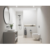 GROHE Essentials porte rouleaux de toilettes avec couvercle brushed Hard graphite brossé (anthracite) SW99017
