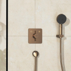 Hansgrohe Duoturn Q Mitigeur encastré pour 2 fonctions bronze brossé SW918513