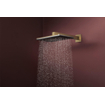 Hansgrohe Raindance alive hoofddouche 210/340 1 jet Brushed bronze (brons) SW1388387