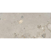 Ceralto Elaris Oak Carrelage de sol - 30x60cm - 9.0mm - rectifié - Sassi grigio p SW1242840