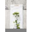 Walra Soft Cotton Gastendoek set van 2 30x50cm 550 g/m2 Wit SHOWROOMMODEL SHOW20250